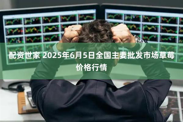 配资世家 2025年6月5日全国主要批发市场草莓价格行情