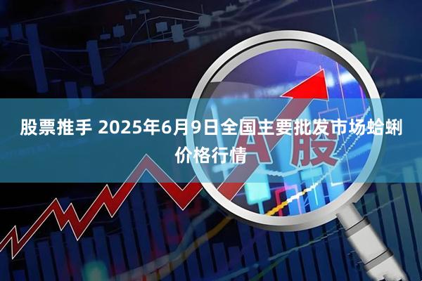 股票推手 2025年6月9日全国主要批发市场蛤蜊价格行情