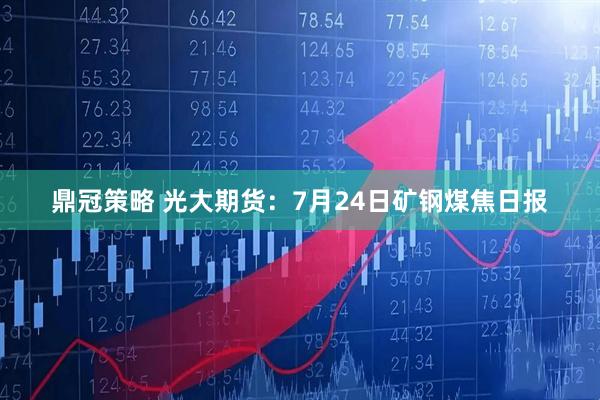 鼎冠策略 光大期货：7月24日矿钢煤焦日报