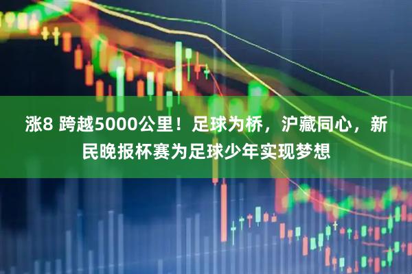 涨8 跨越5000公里!足球为桥,沪藏同心,新民晚报杯赛为足球少年实现梦想