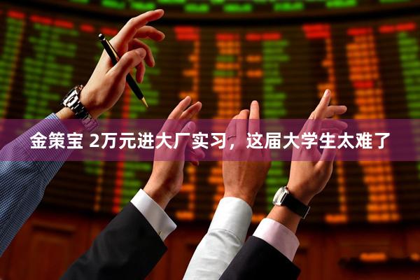 金策宝 2万元进大厂实习,这届大学生太难了