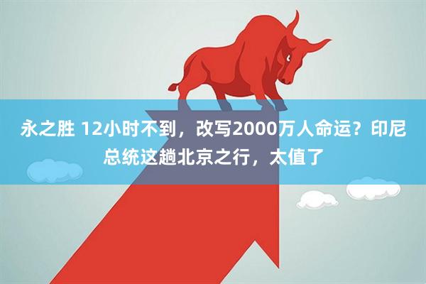 永之胜 12小时不到,改写2000万人命运?印尼总统这趟北京之行,太值了
