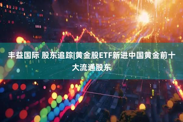 丰益国际 股东追踪|黄金股ETF新进中国黄金前十大流通股东