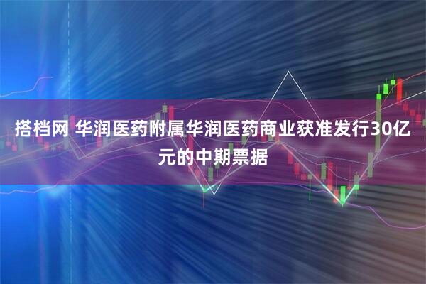 搭档网 华润医药附属华润医药商业获准发行30亿元的中期票据